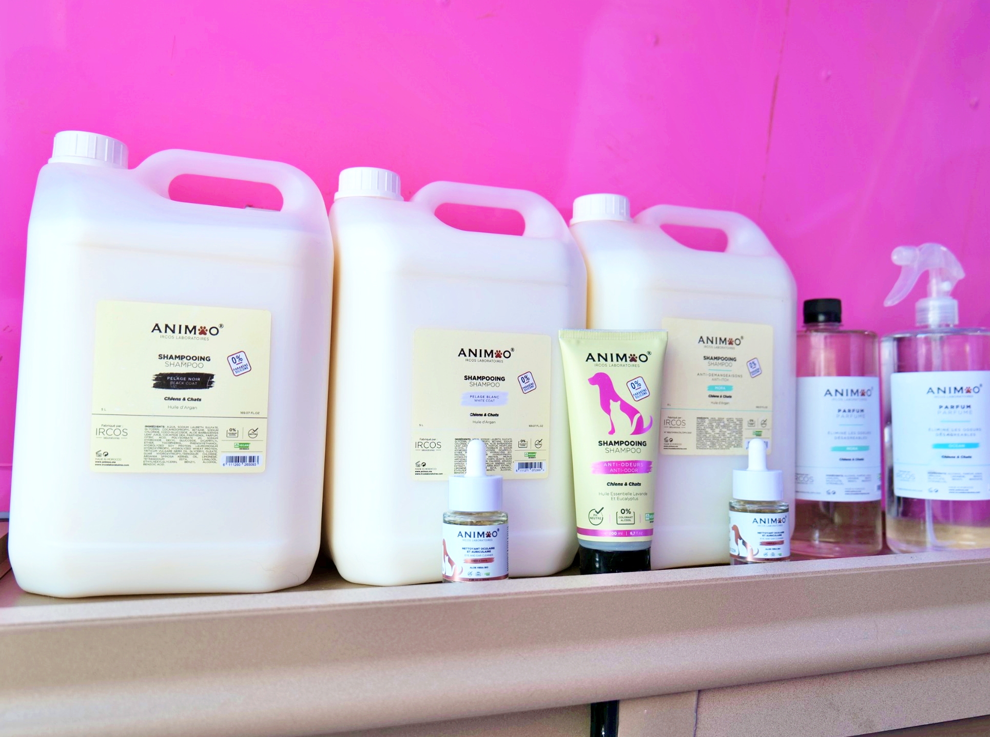 groom room pic 3 colored crop