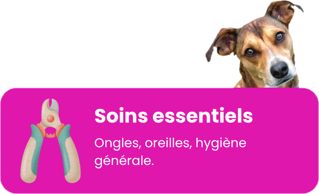 ongles, oreilles, hygiène générale.