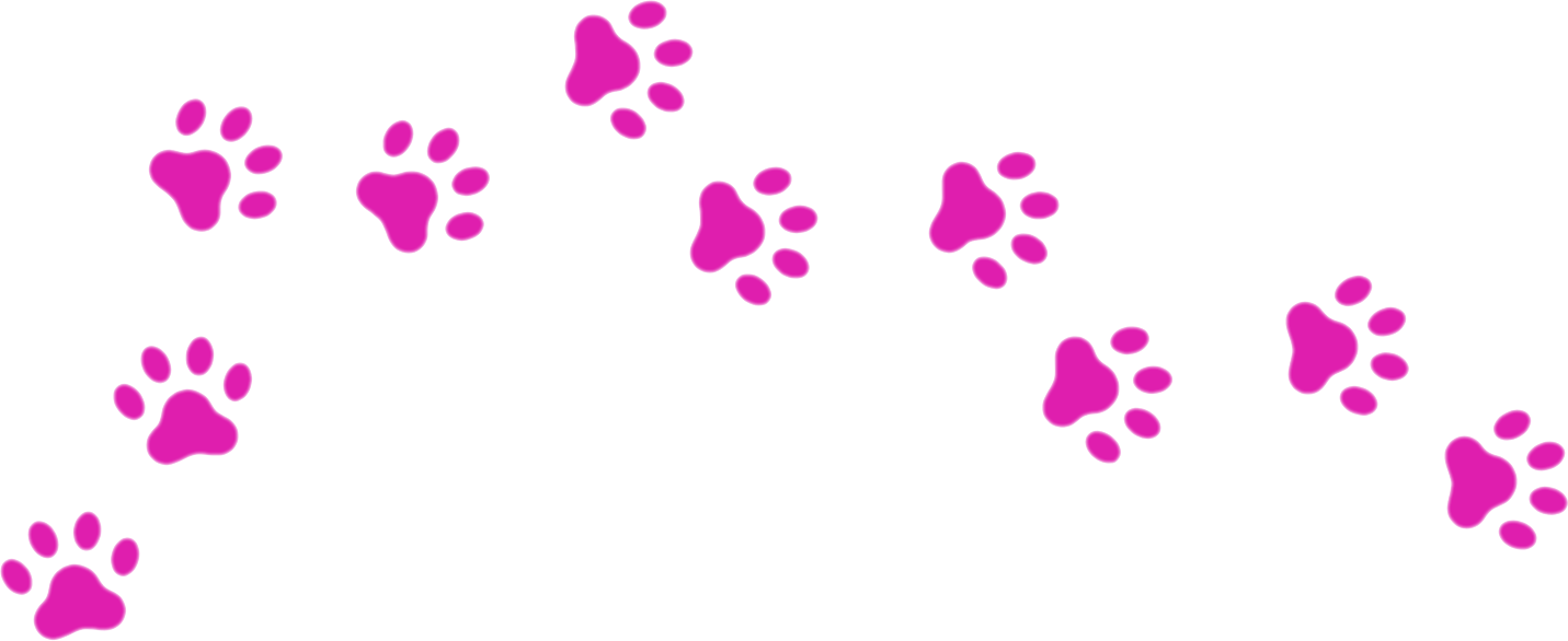 paws pink